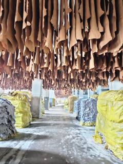 leather expertise (4)