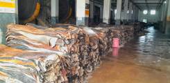leather expertise (2)